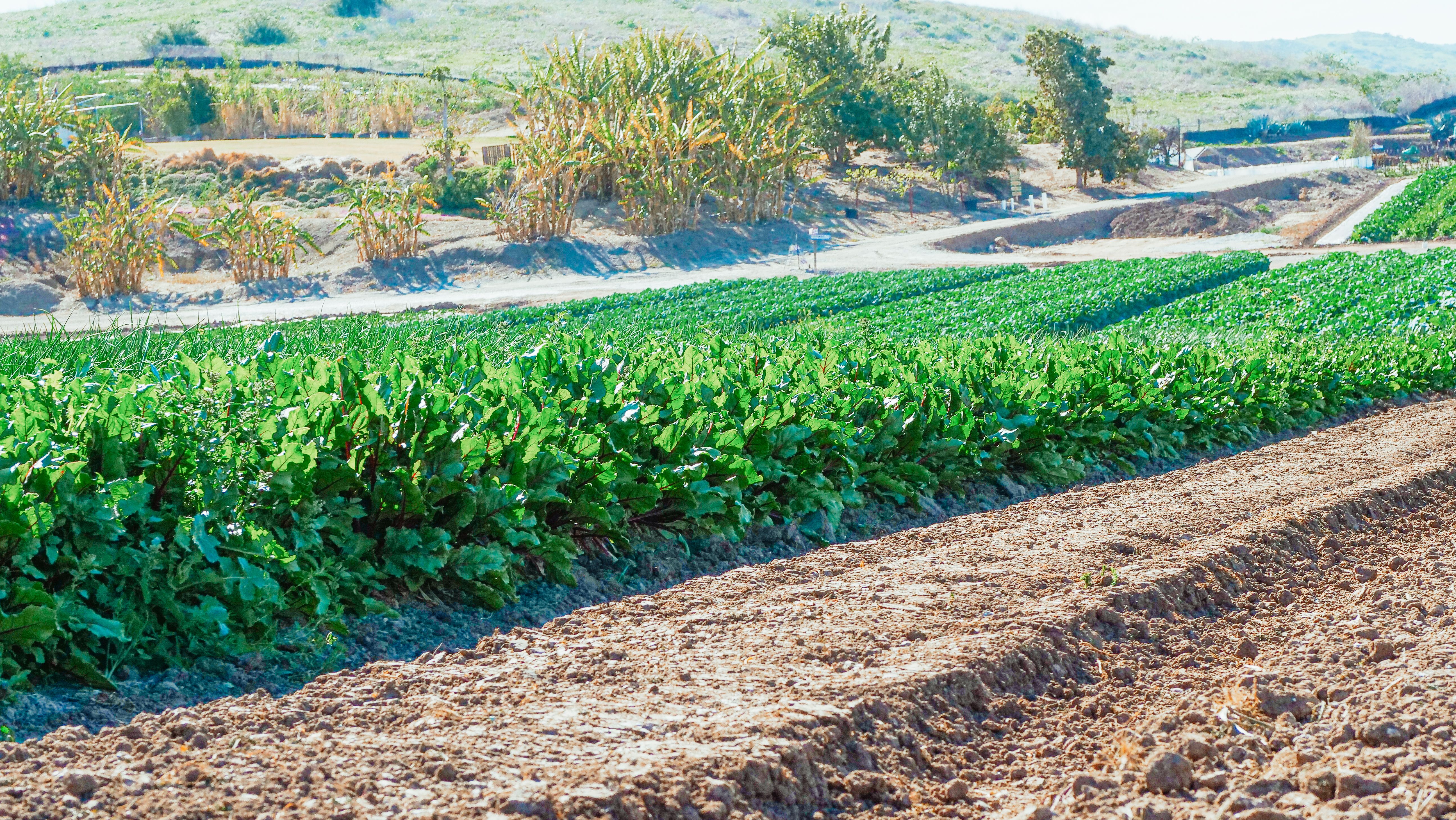 About AGRI-DATA SMART