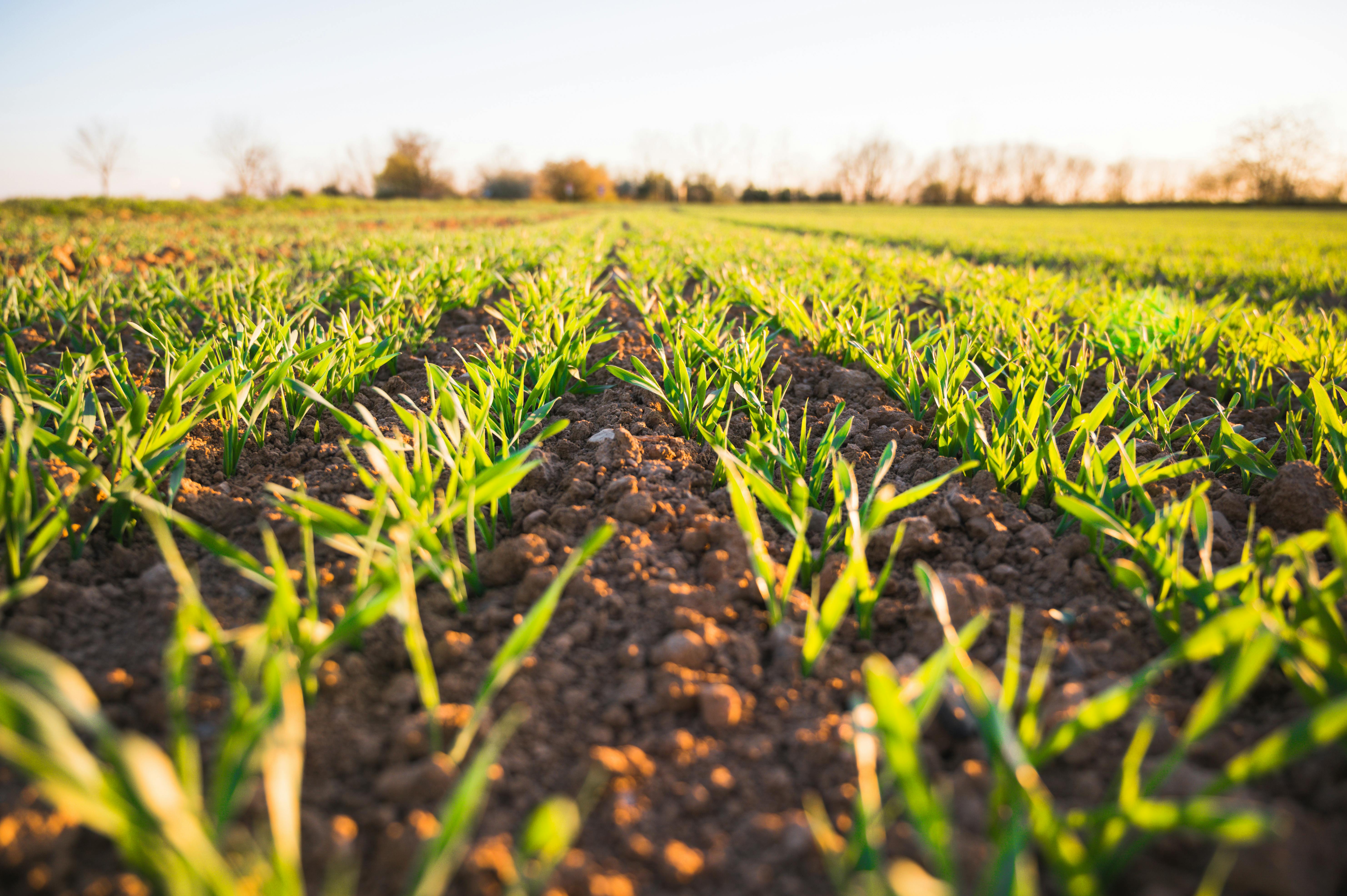 Karibu AGRI-DATA SMART